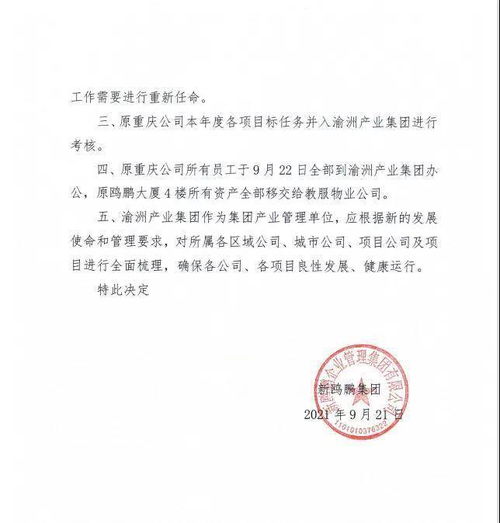 新鷗鵬戰(zhàn)略調(diào)整 撤銷重慶公司，員工并入渝州產(chǎn)業(yè)集團(tuán)推動(dòng)文化藝術(shù)交流